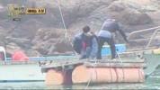 미리보기 이미지