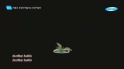 미리보기 이미지
