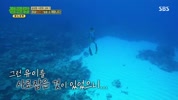 정글밥.E01.240813.1080p.WANNA