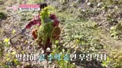 미리보기 이미지