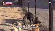 미리보기 이미지