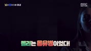미리보기 이미지