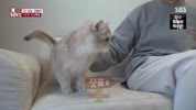 미리보기 이미지