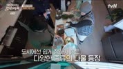 미리보기 이미지