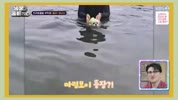미리보기 이미지