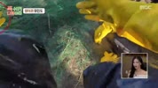 미리보기 이미지