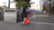 미리보기 이미지