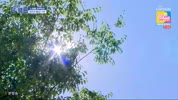 미리보기 이미지