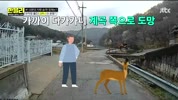 미리보기 이미지