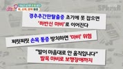 미리보기 이미지