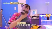 미리보기 이미지