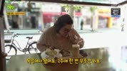 미리보기 이미지