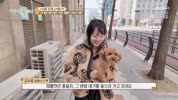 미리보기 이미지