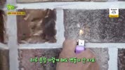 미리보기 이미지
