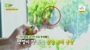 미리보기 이미지