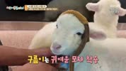 미리보기 이미지