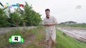 미리보기 이미지