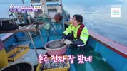 미리보기 이미지