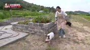 미리보기 이미지
