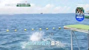 미리보기 이미지