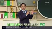 미리보기 이미지