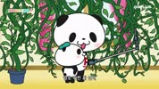 미리보기 이미지
