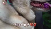 미리보기 이미지