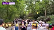 미리보기 이미지