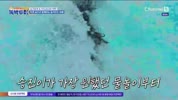 미리보기 이미지