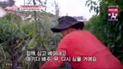 미리보기 이미지