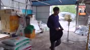 미리보기 이미지