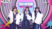 미리보기 이미지