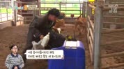 미리보기 이미지