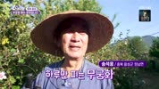 미리보기 이미지