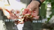 미리보기 이미지