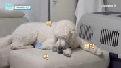 미리보기 이미지