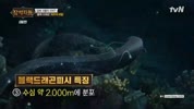 미리보기 이미지