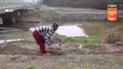 미리보기 이미지