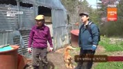 미리보기 이미지