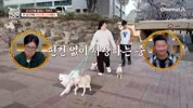 미리보기 이미지