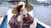 미리보기 이미지