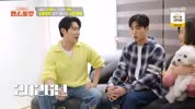 미리보기 이미지