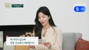 미리보기 이미지