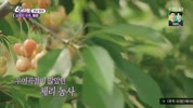 미리보기 이미지