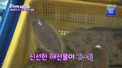 미리보기 이미지