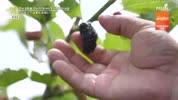 미리보기 이미지