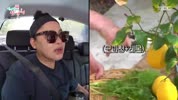 미리보기 이미지