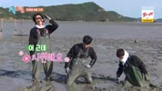 미리보기 이미지