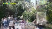 미리보기 이미지