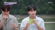 미리보기 이미지